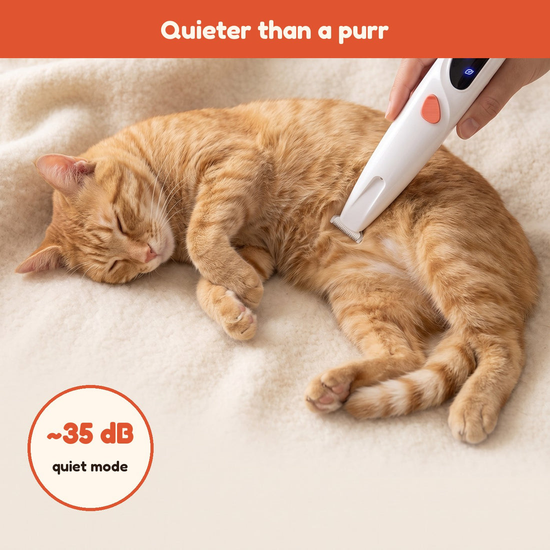 A ginger cat sleeping while its belly is trimmed