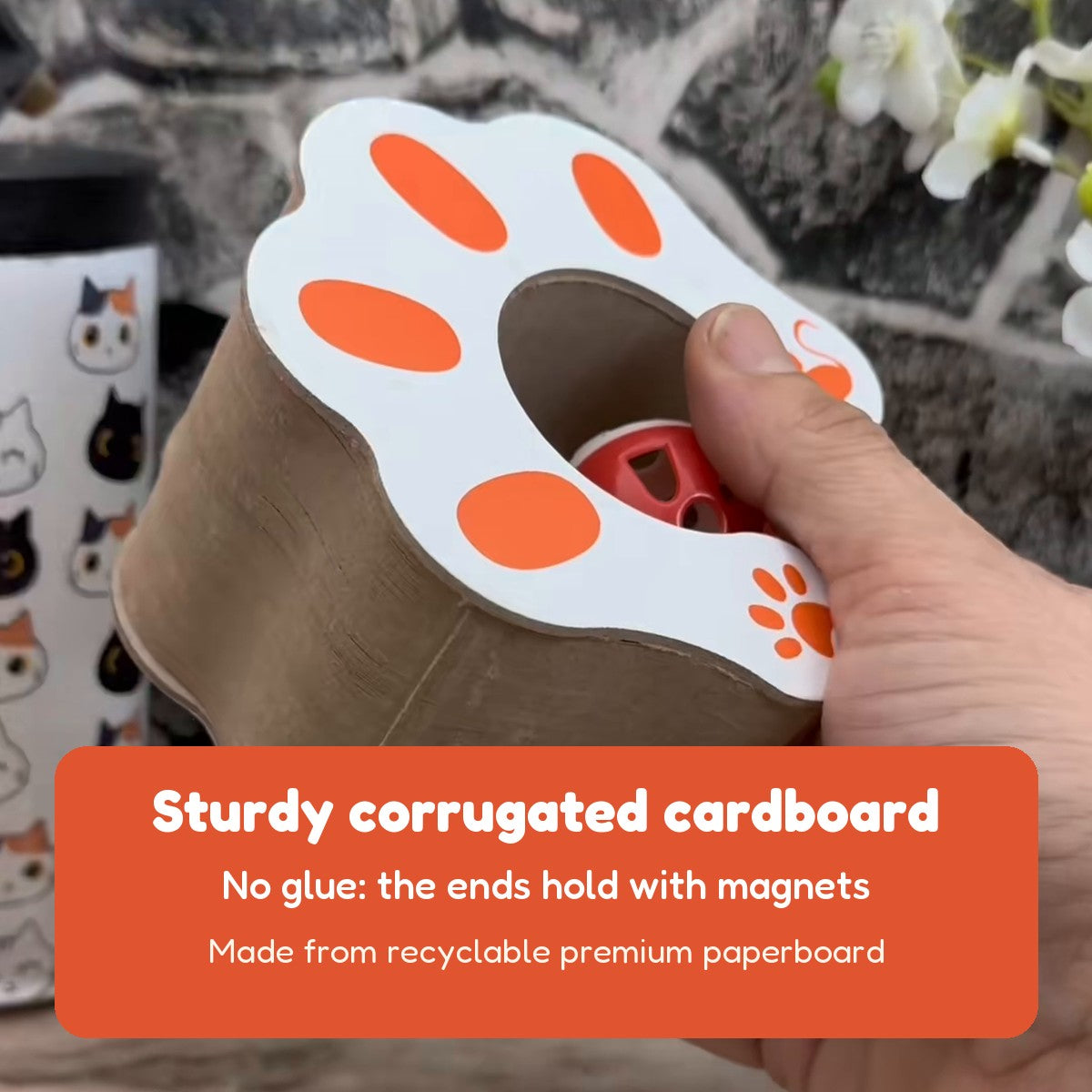 CHICKEN CAT corrugated cardboard with magnetic ends
