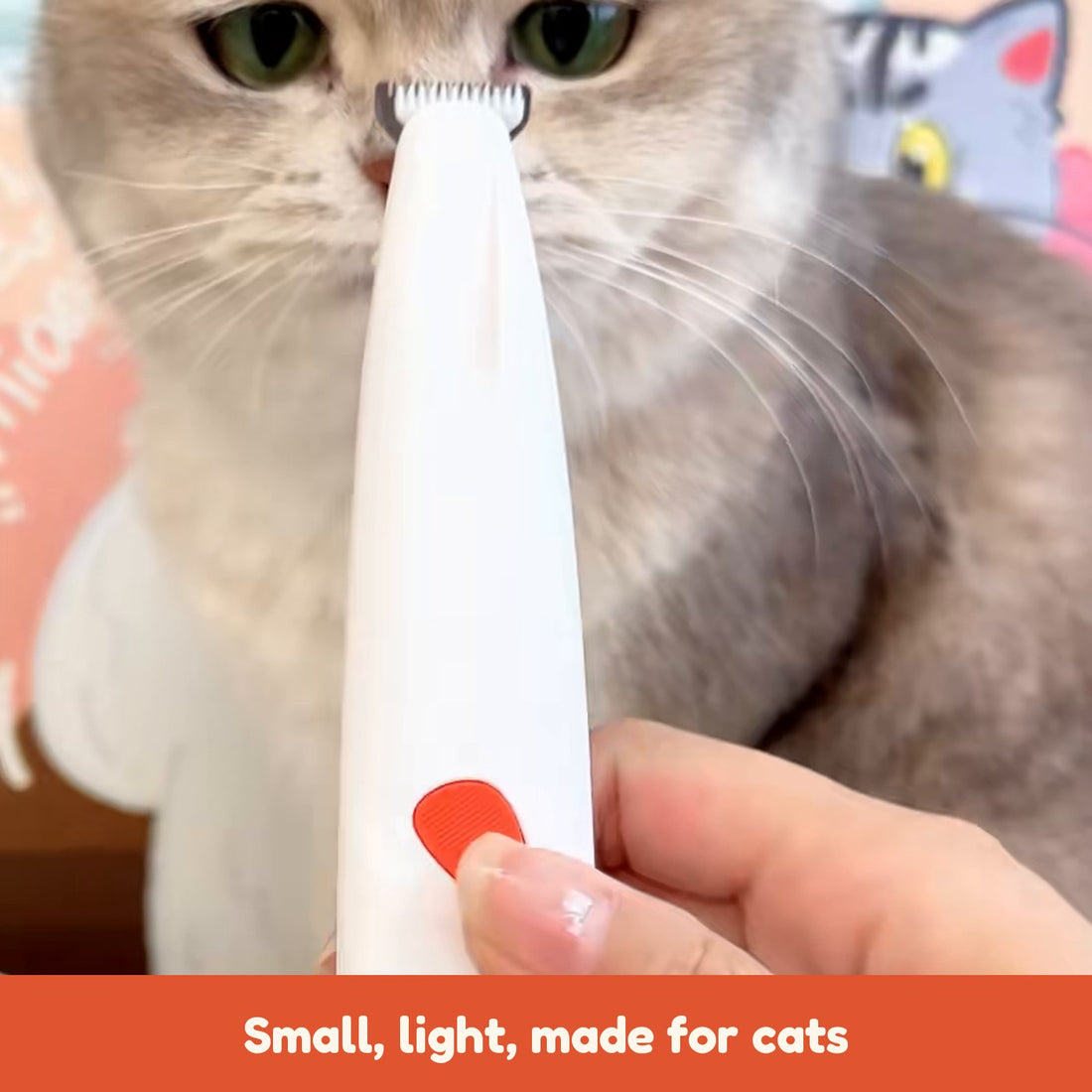 The clipper held next to a cat