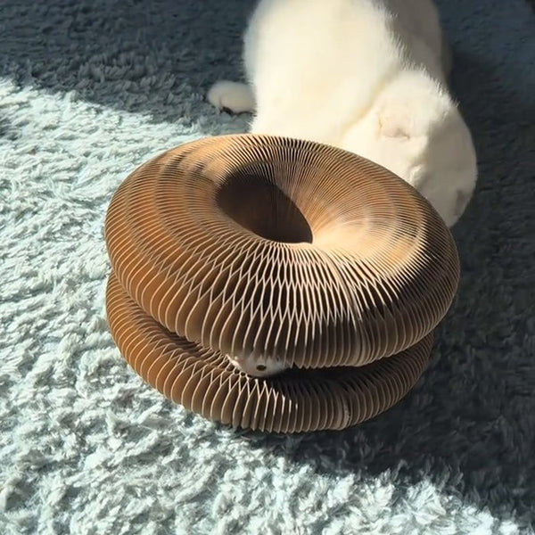 Customer photo of CHICKEN CAT
