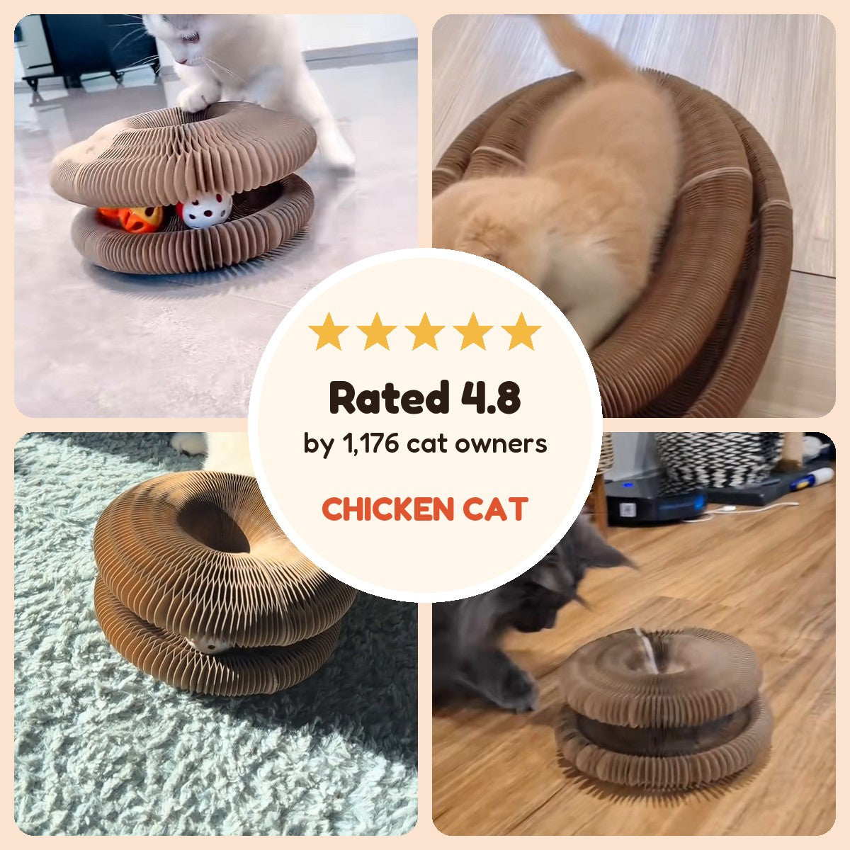 Cats playing on CHICKEN CAT, rated 4.8 by 1,176 cat owners
