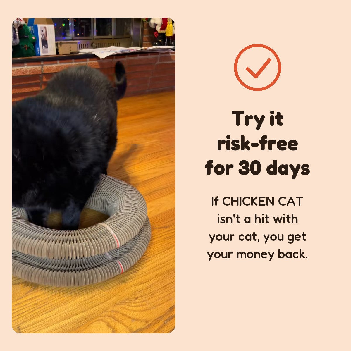 Try CHICKEN CAT risk-free for 30 days