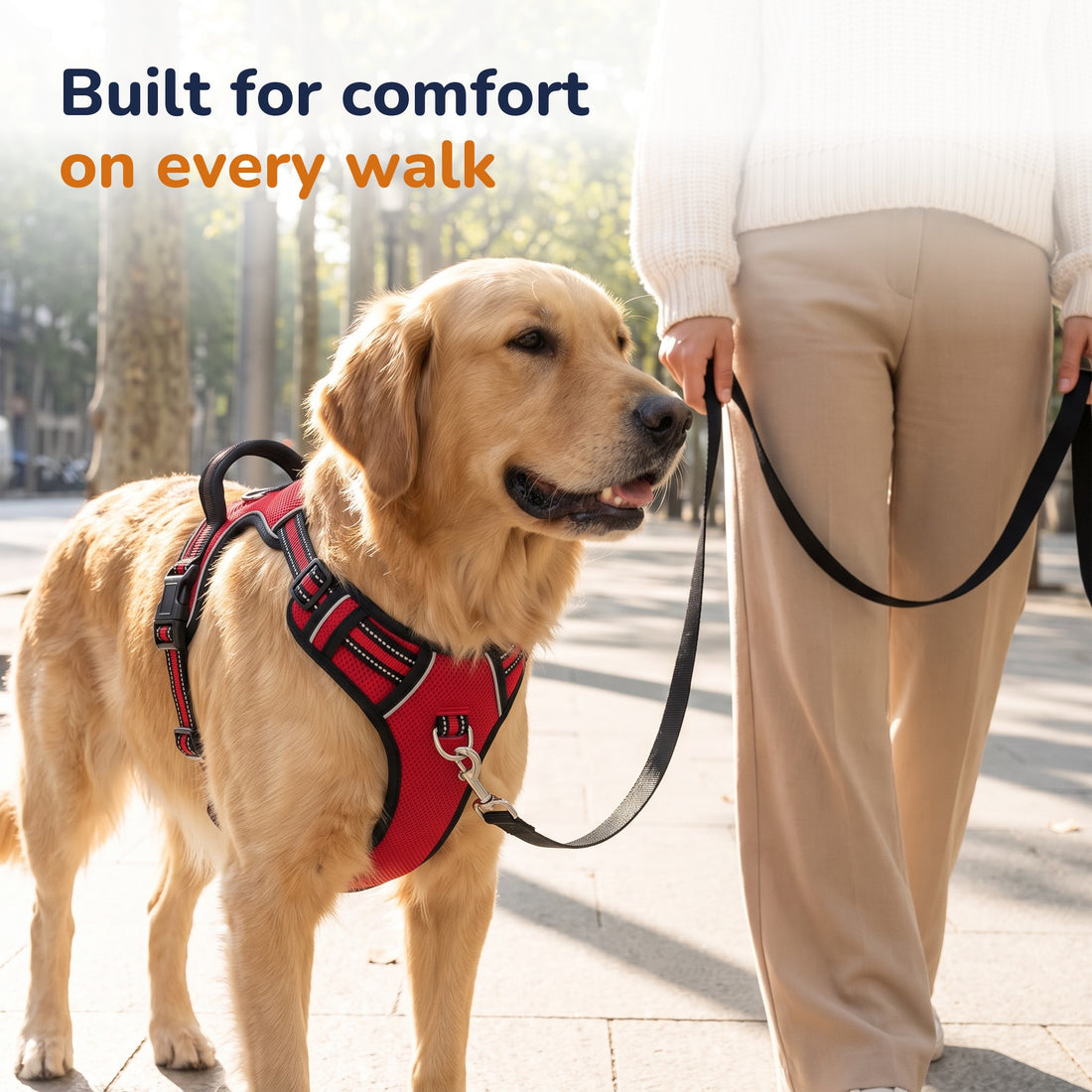 Golden retriever walking calmly in the red Chicken Dog No-Pull Harness