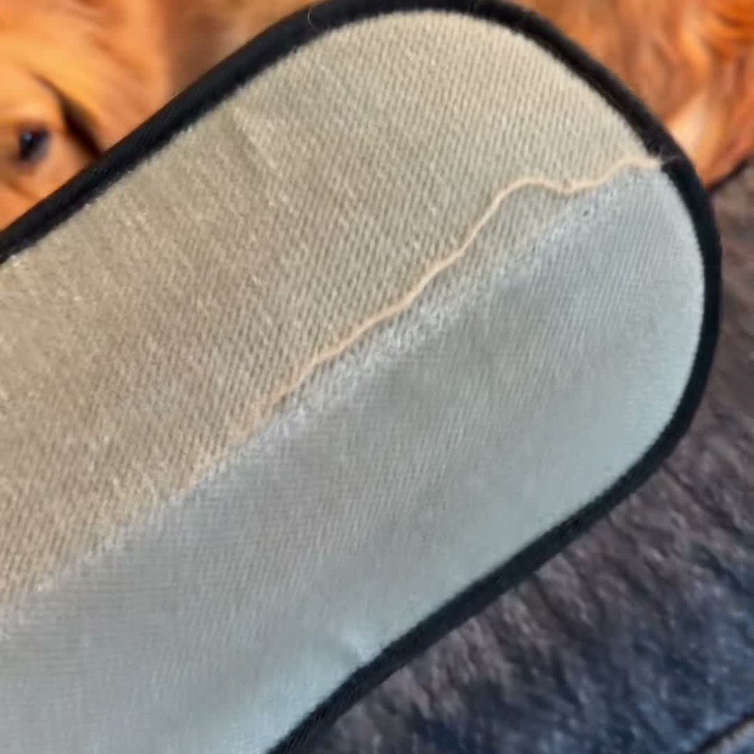 Dog hair gathered into one strip on the pad