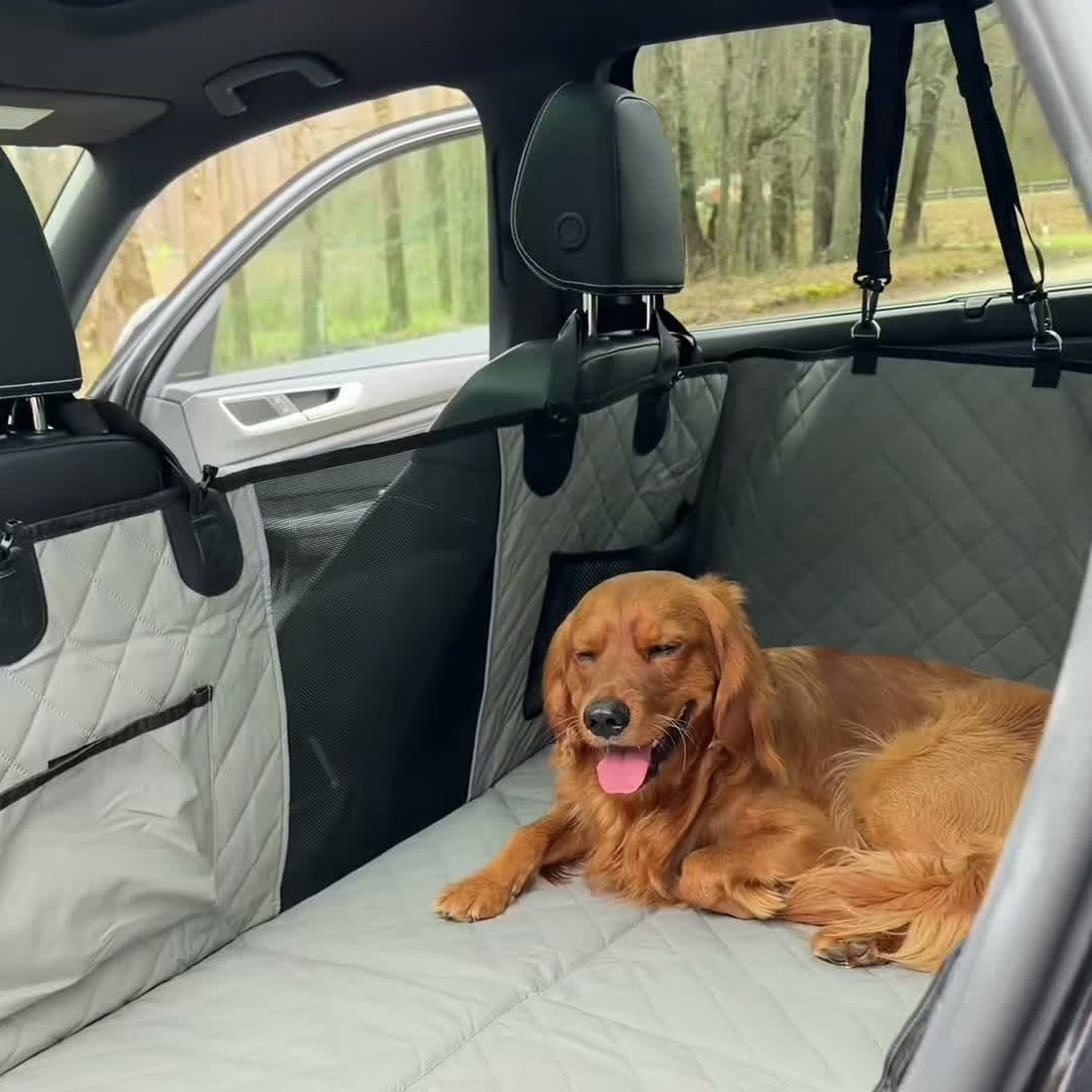 Grey — Golden retriever relaxing on the grey hard-bottom cover